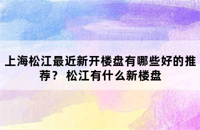 上海松江最近新开楼盘有哪些好的推荐？ 松江有什么新楼盘